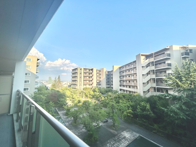 展望