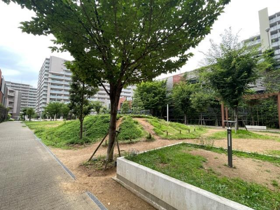 庭