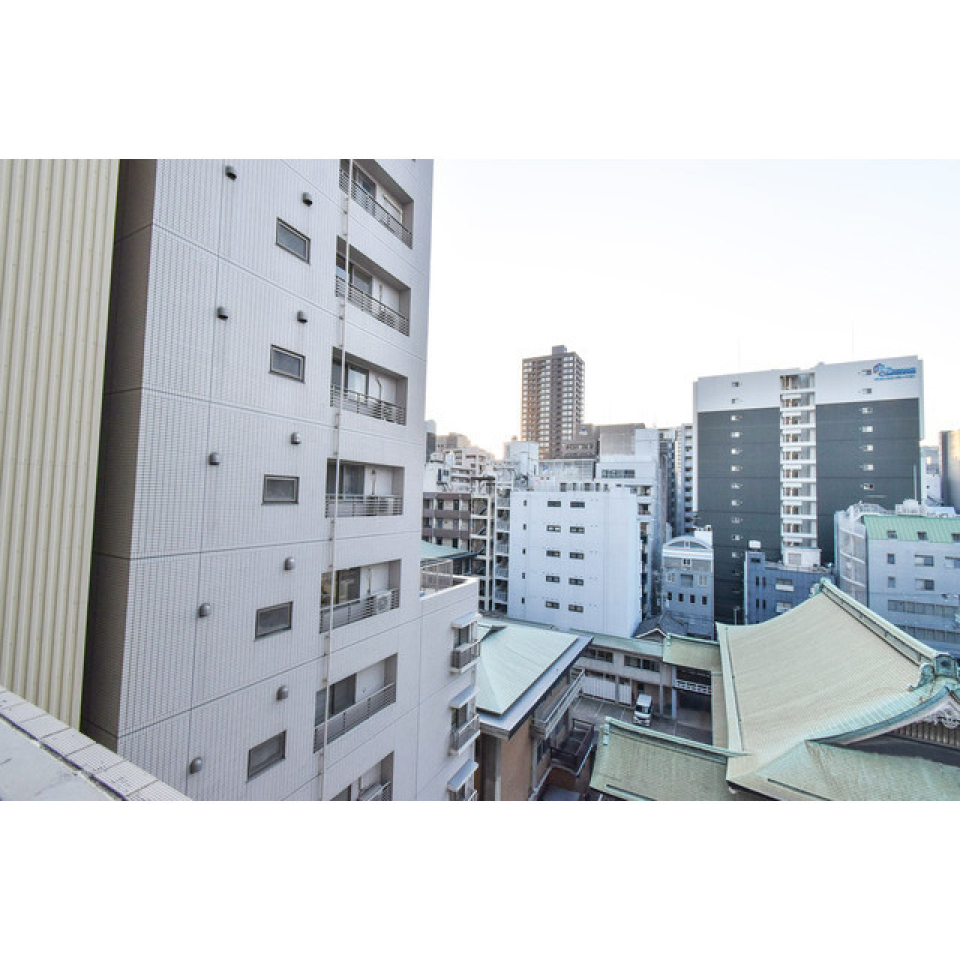 展望