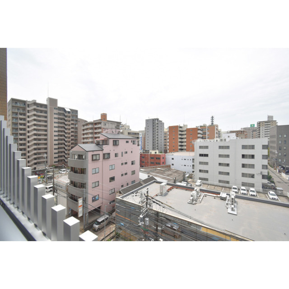 展望