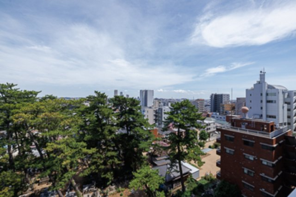 展望