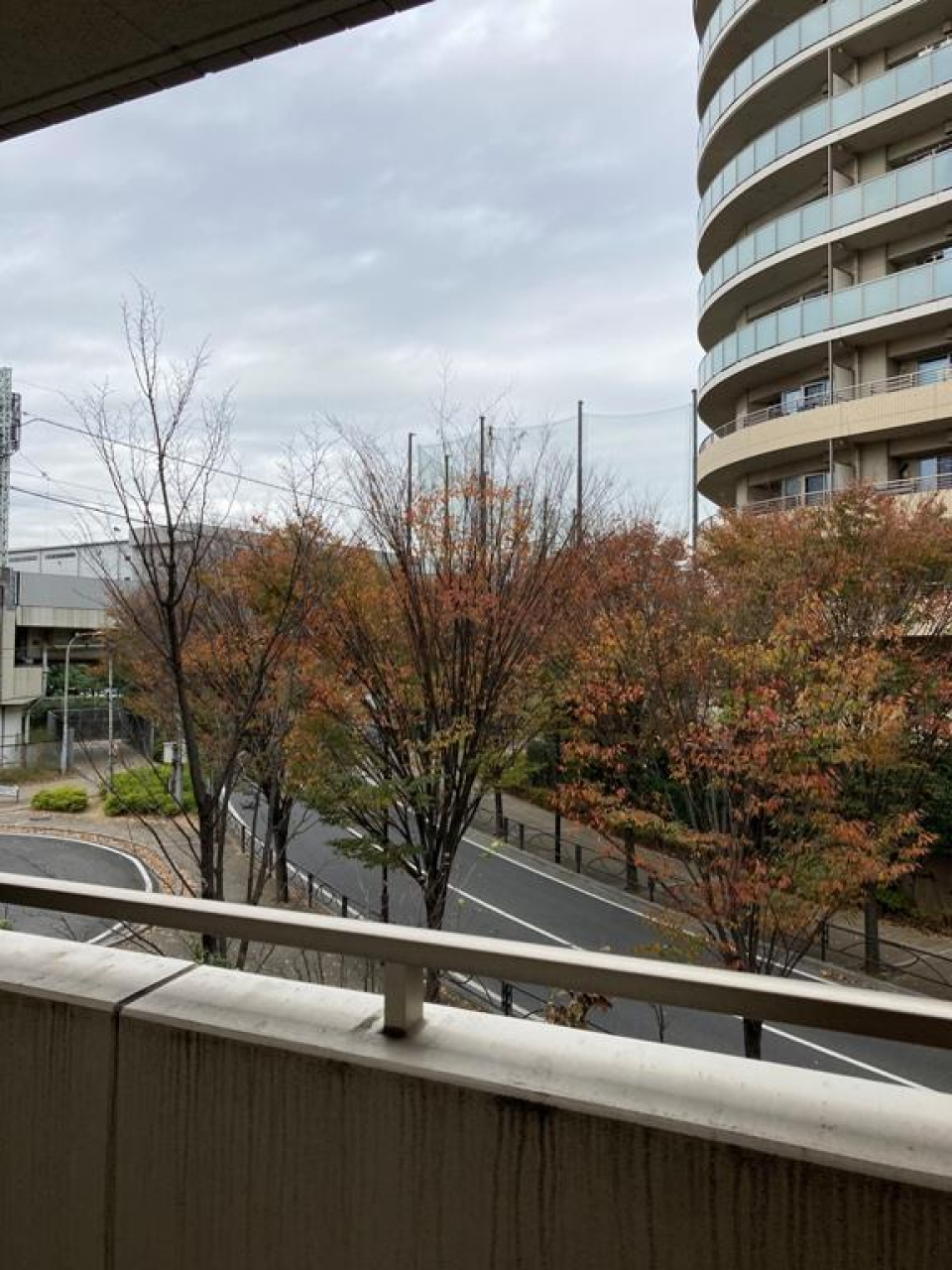 展望