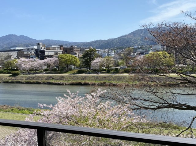 悠久の歴史の中で、千年の都と京文化を育んできた鴨川