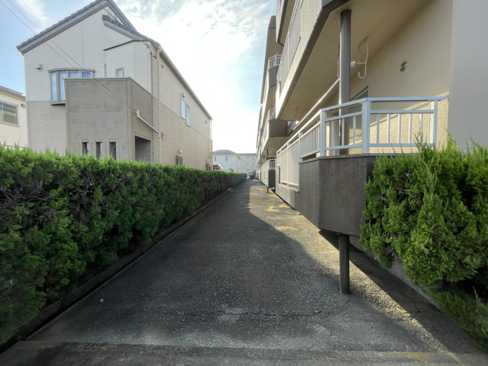 生垣はバルコニーの半分くらいの高さ