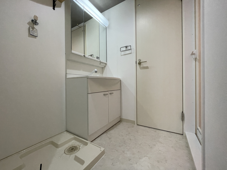 脱衣所。洗面台のすぐ隣が洗濯機置場なので予洗いもラクラク