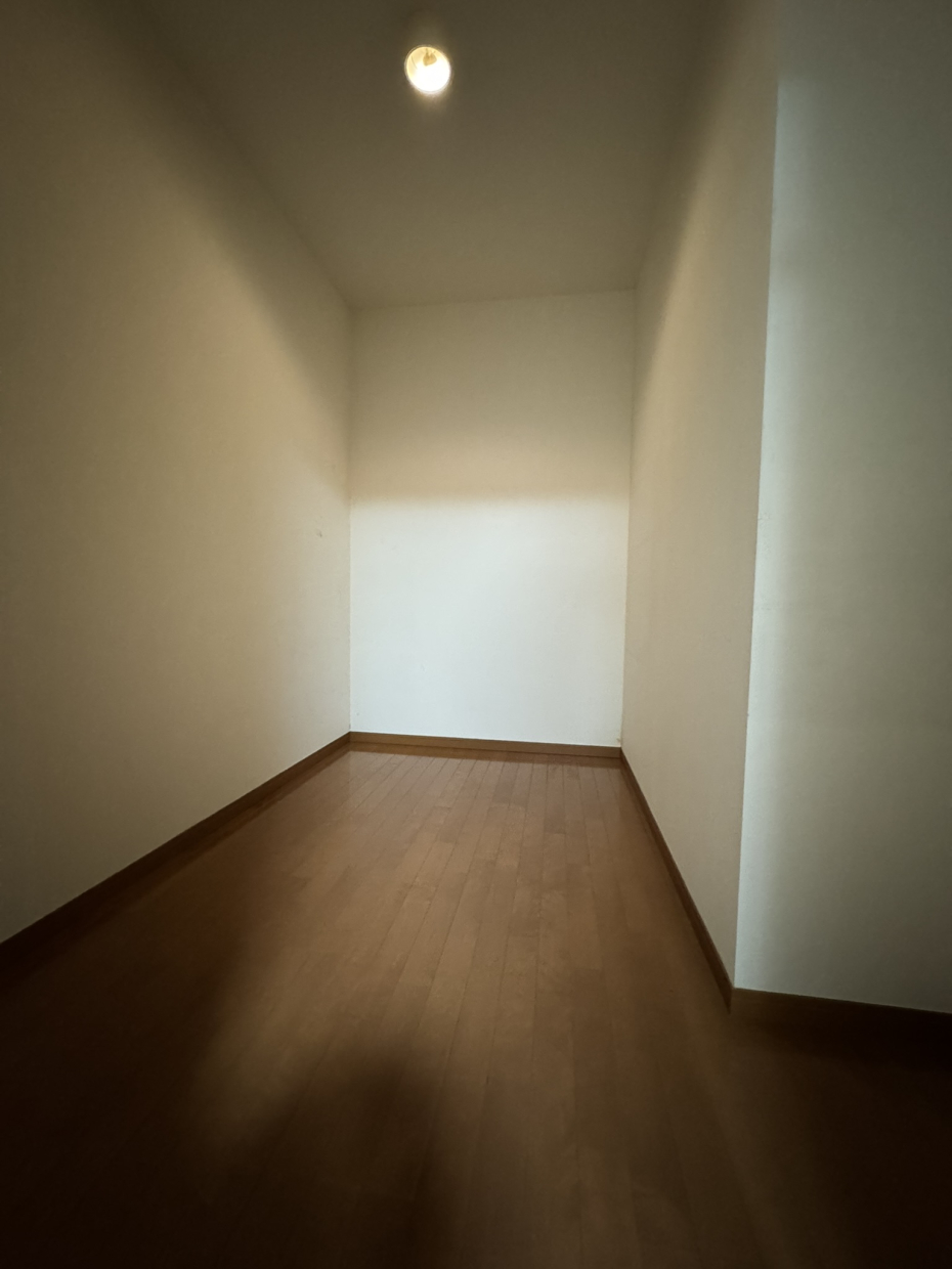 LD横のWIC収納。広い