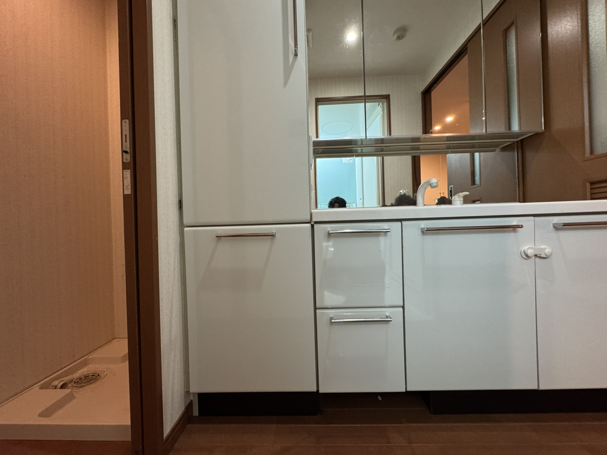 収納力もある。隣はドアで仕切れる洗濯機置き場