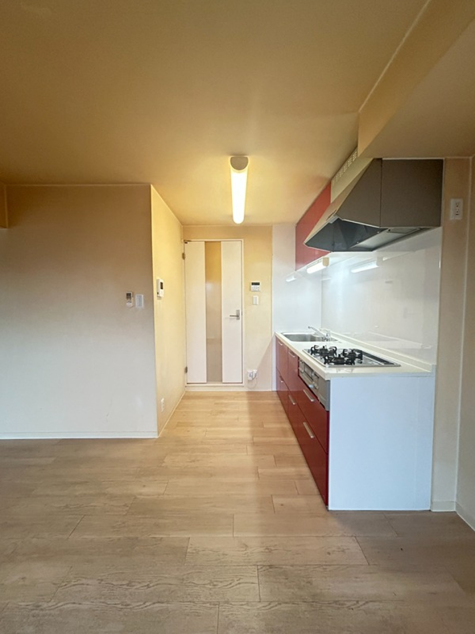 横から見るとこんな感じ