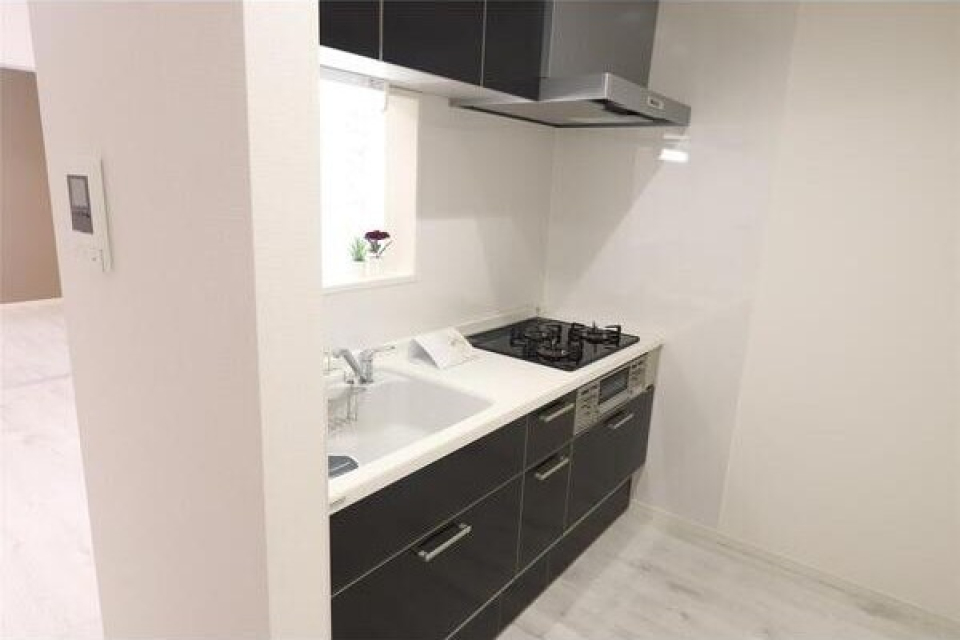 対面式のシステムキッチンです