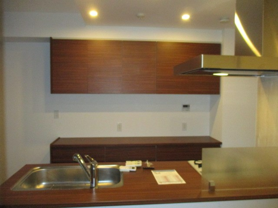 対面式のシステムキッチンです！