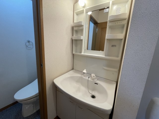 洗面台もしっかり独立