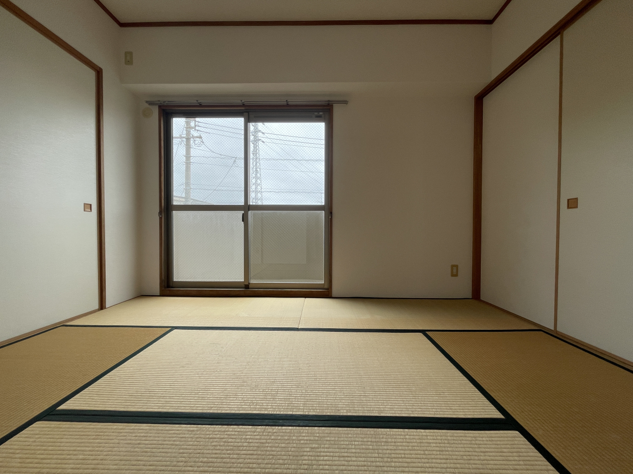 お昼寝したら気持ちいいだろいうなあ