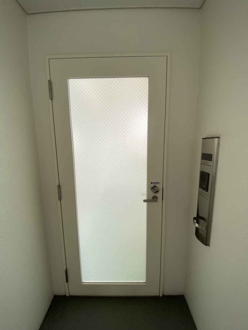 住居の入り口か間違える玄関。防犯対策ドアです。